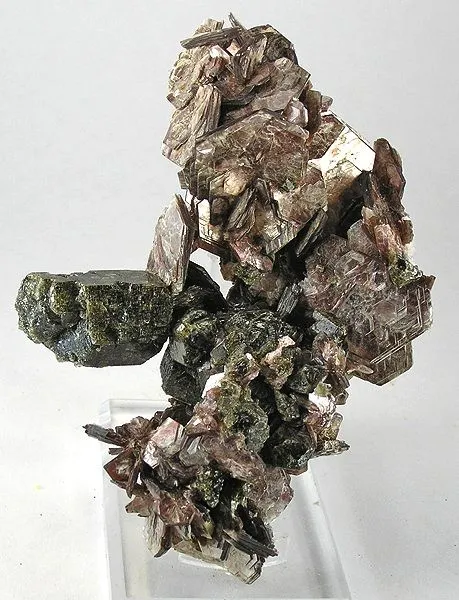 Apatite-(Caf), Muscovite image