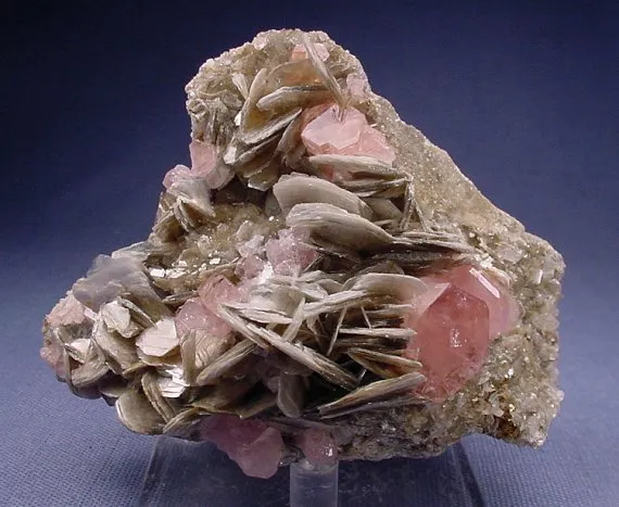 Apatite-(Caf), Muscovite image