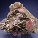 Apatite-(Caf), Muscovite - image 1