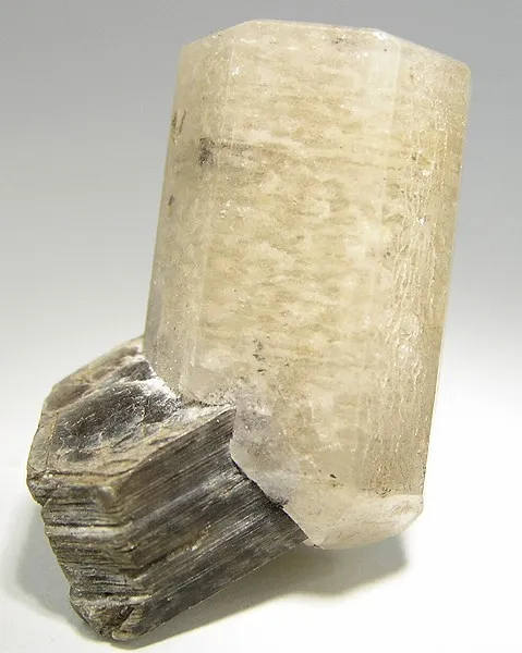 Apatite-(Caf), Muscovite image