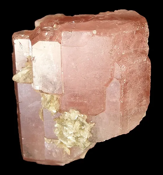Apatite-(Caf), Muscovite image