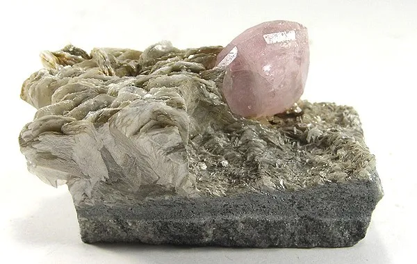 Apatite-(Caf), Muscovite image