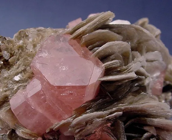 Apatite-(Caf), Muscovite - image 2