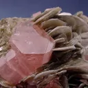 Apatite-(Caf), Muscovite - image 2