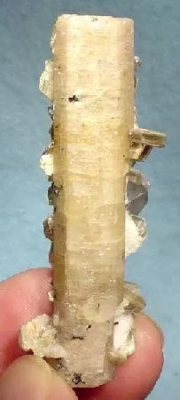 Apatite-(Caf), Muscovite, Quartz image