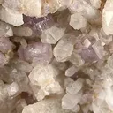 Apatite-(Caf), Quartz - image 2