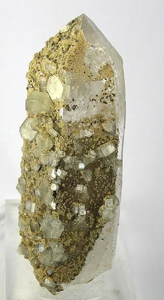 Apatite-(Caf), Quartz image