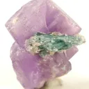 Apatite-(Caf), Tourmaline (Var: Indicolite) - image 2