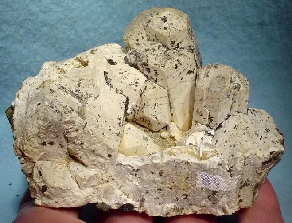 Apatite-(Caoh) image