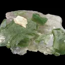 Apatite-(Caoh) - image 1