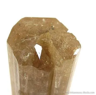 Apatite Enclosing Schorl - image 2