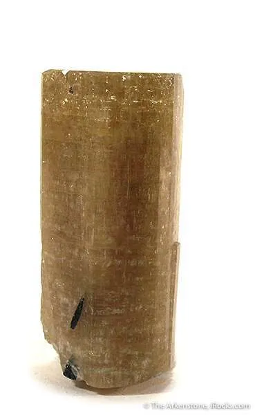 Apatite Enclosing Schorl image