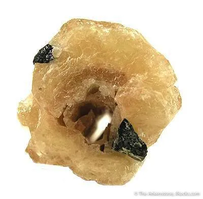 Apatite Enclosing Schorl - image 3
