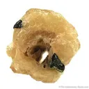 Apatite Enclosing Schorl - image 3