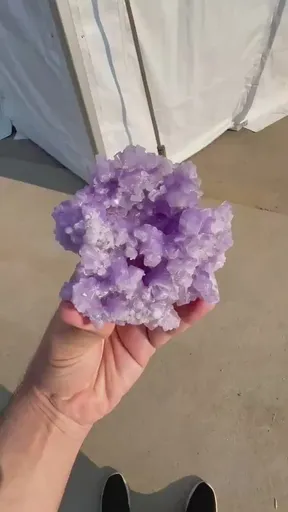 specimen video