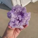 specimen video