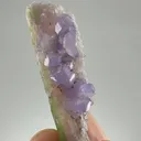 specimen video