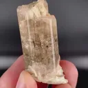 specimen video