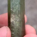specimen video