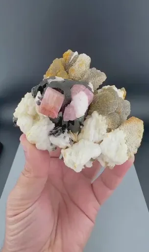 specimen video
