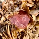Apatite from Pakistan - image 9