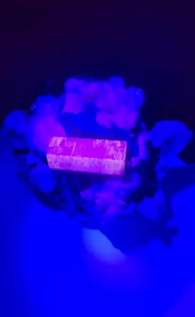 Apatite from Pakistan image