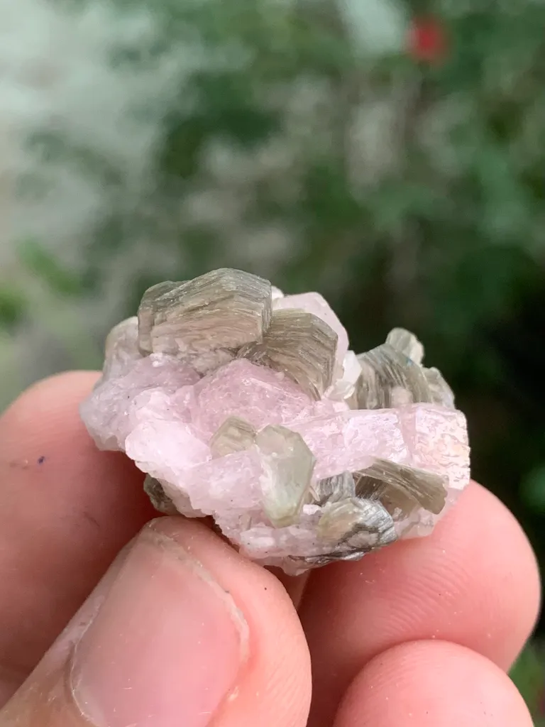 Apatite from Pakistan - image 5