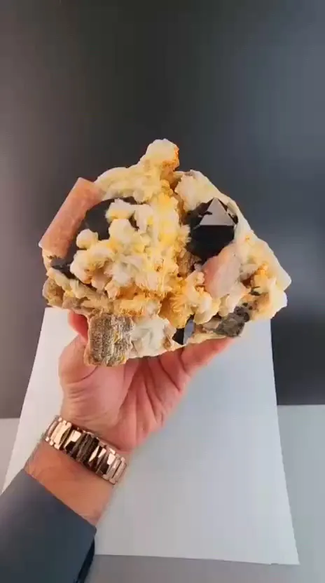 specimen video