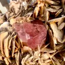 Apatite from Pakistan - image 7