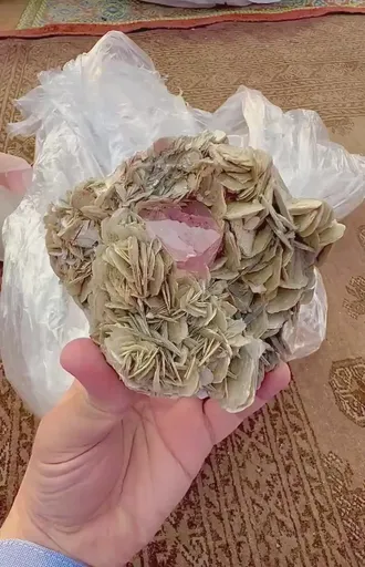 specimen video
