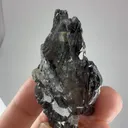specimen video