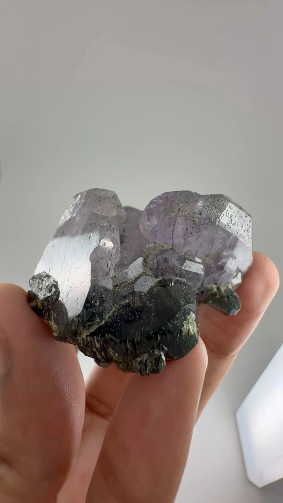 specimen video