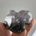 specimen video