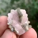 Apatite from Pakistan - image 2