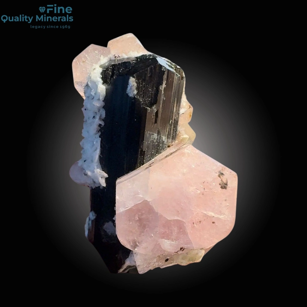 Apatite from Pakistan image