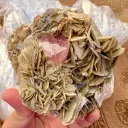 Apatite from Pakistan - image 8