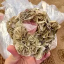 Apatite from Pakistan - image 6