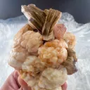 Apatite from Pakistan - image 1
