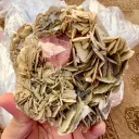 Apatite from Pakistan - image 5