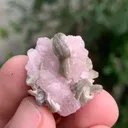 Apatite from Pakistan - image 4