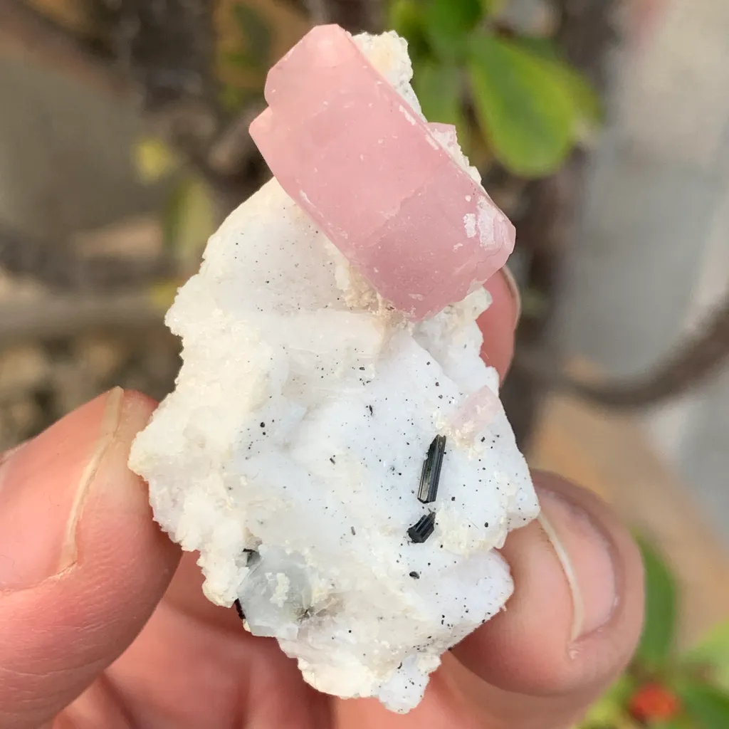 Apatite from Pakistan, Gilgit-Baltistan, Nagar District, Chumar Bakhoor image