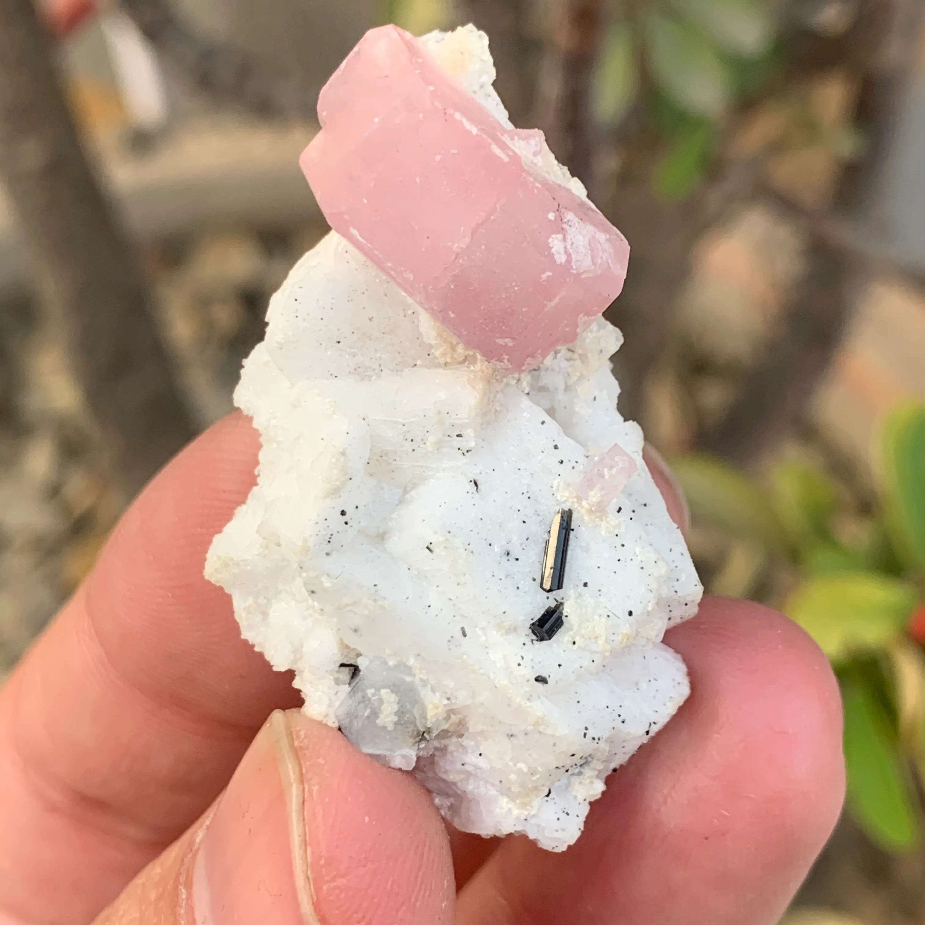 Apatite from Pakistan, Gilgit-Baltistan, Nagar District, Chumar Bakhoor - image 7