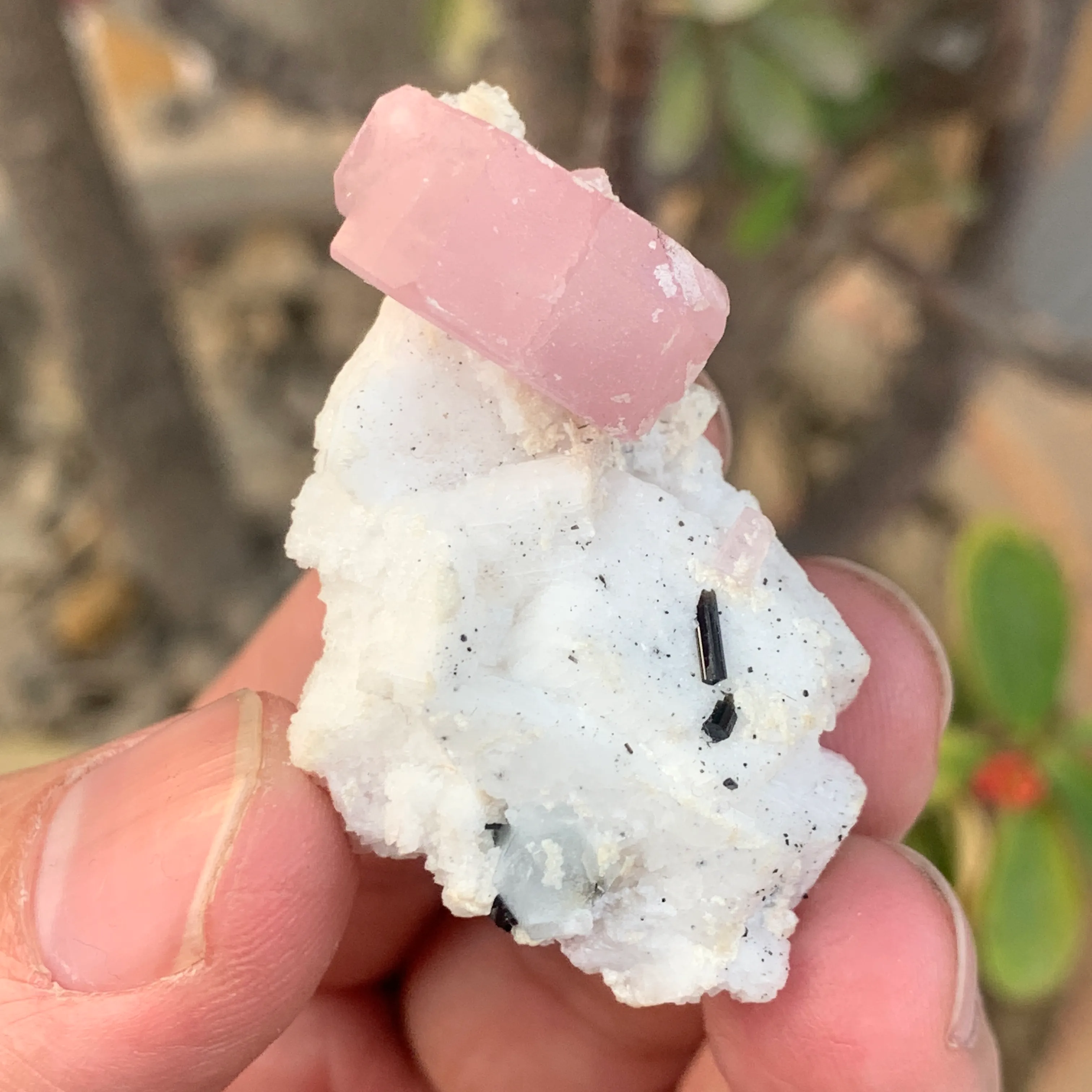 Apatite from Pakistan, Gilgit-Baltistan, Nagar District, Chumar Bakhoor - image 9