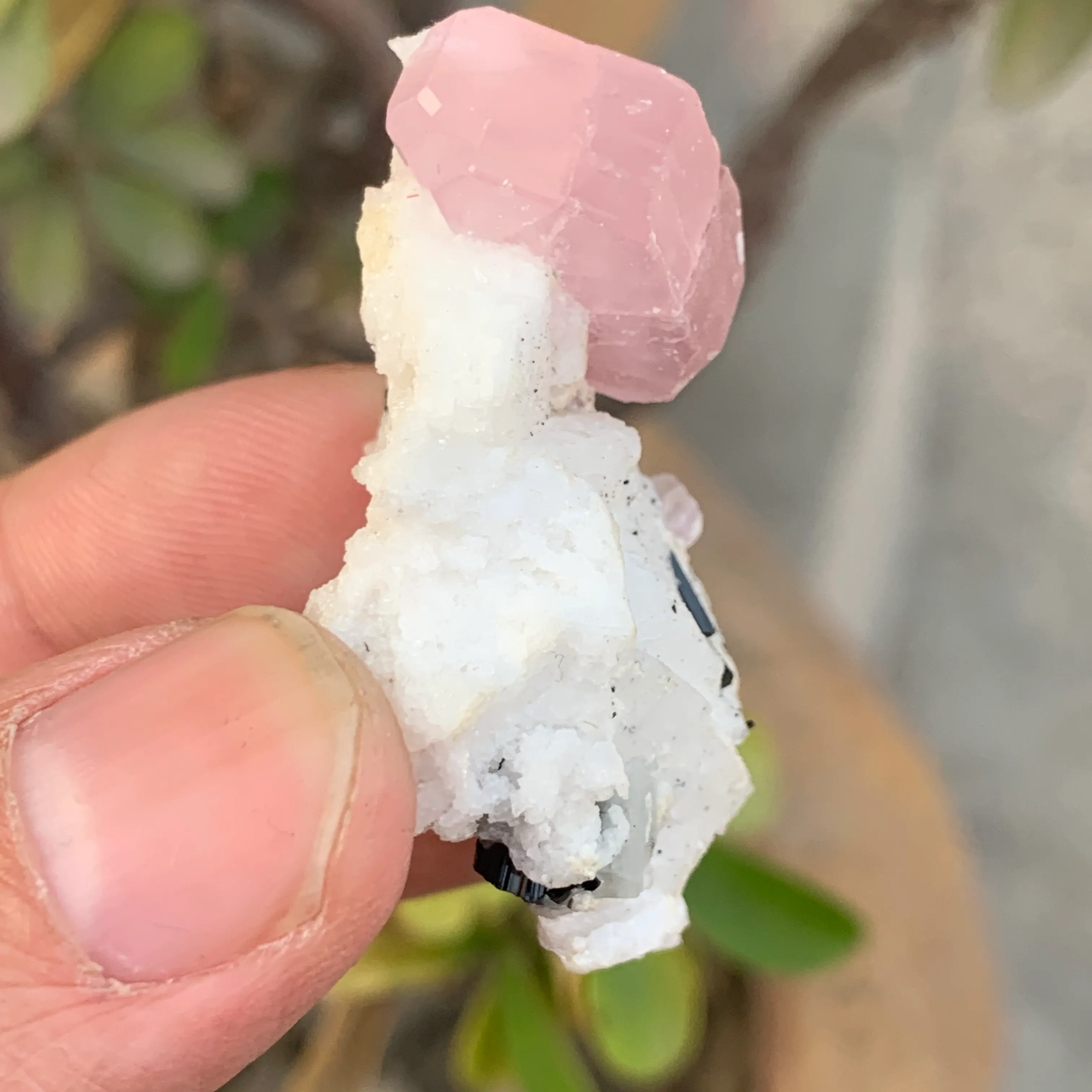 Apatite from Pakistan, Gilgit-Baltistan, Nagar District, Chumar Bakhoor - image 4