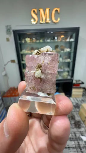 specimen video