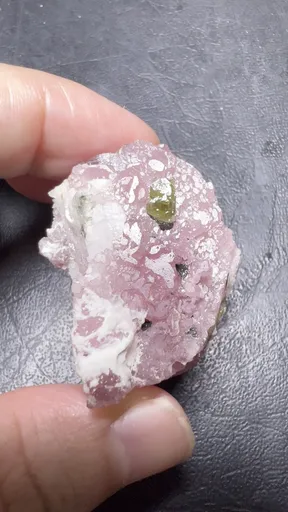specimen video