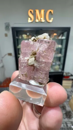 specimen video