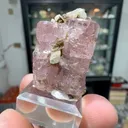 specimen video