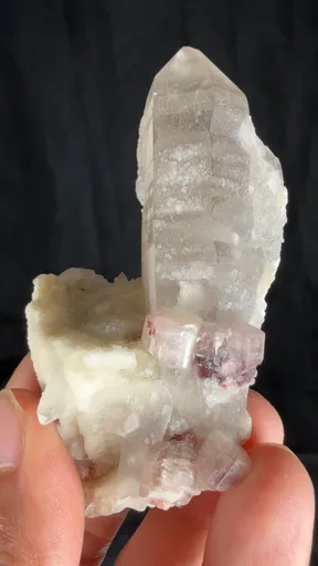 specimen video
