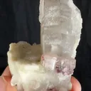 specimen video
